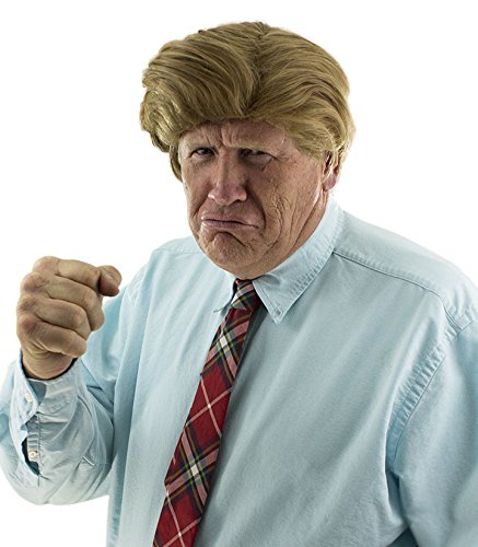 Realistic Donald Trump Wig