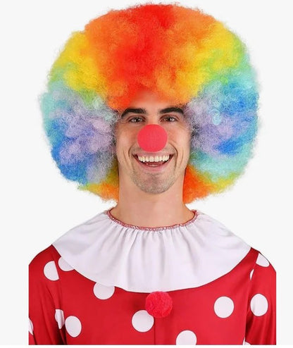Rainbow Afro Costume Wig – Multicolor Curly Costume Hair